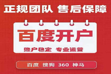 专业SEM代运营公司案例分析